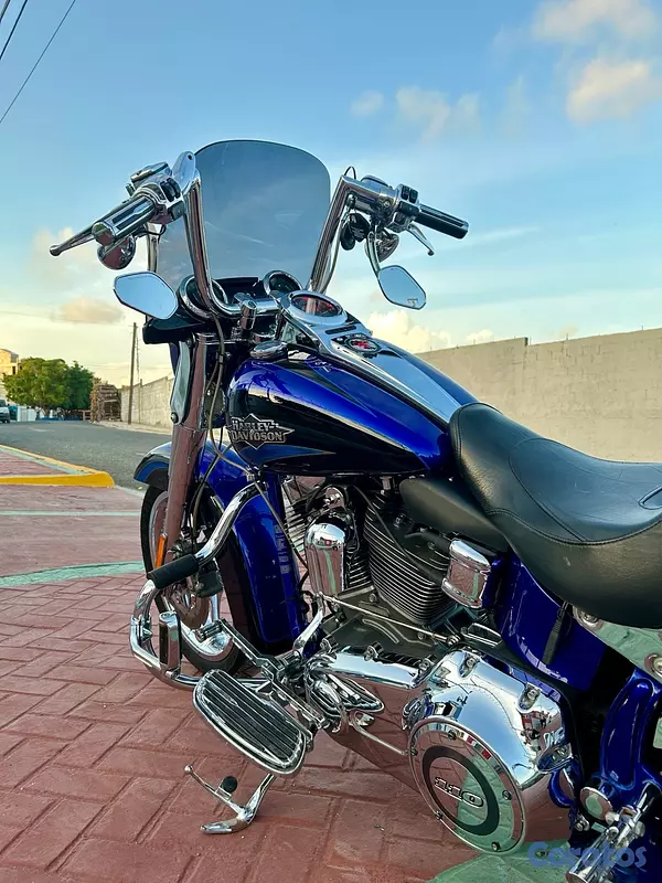 motores y pasolas - Softail CVO 110 convertible  4