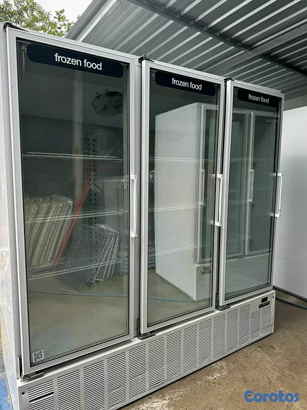 equipos profesionales - CONGELADOR DE 3 PUERTAS  1