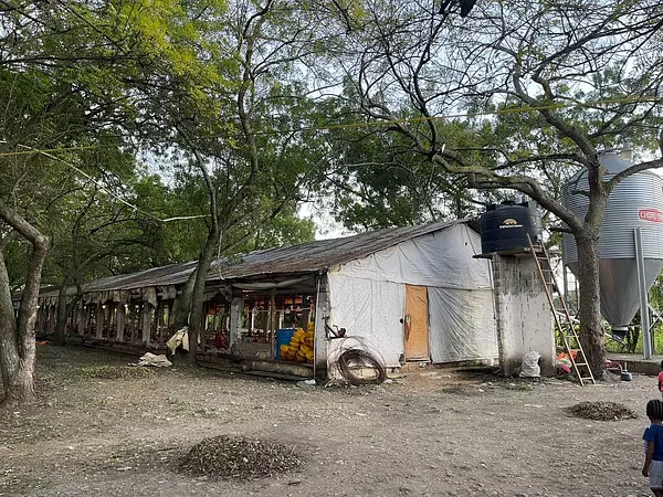 otros inmuebles - Granja de pollo  en moca con  30 tareas 4