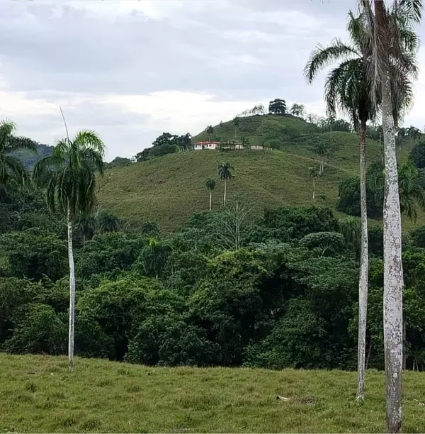 solares y terrenos - finca ganadera en río San Juan  3
