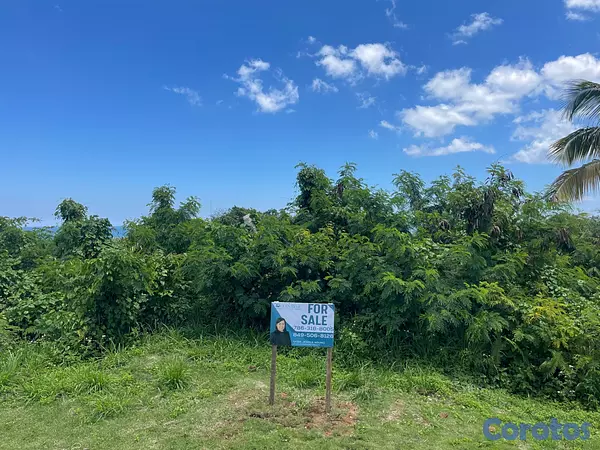 solares y terrenos - Oportunidad de inversión en Las Terrenas, Samaná. 2