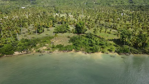 solares y terrenos -  Vendo   Terreno con 46,000.00 Mt2 en Samaná  2