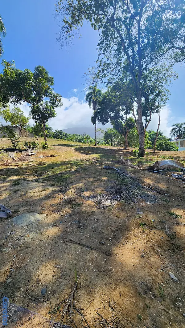 solares y terrenos - ️ Terrenos en Venta – Residencial El Doral, Puerto 6