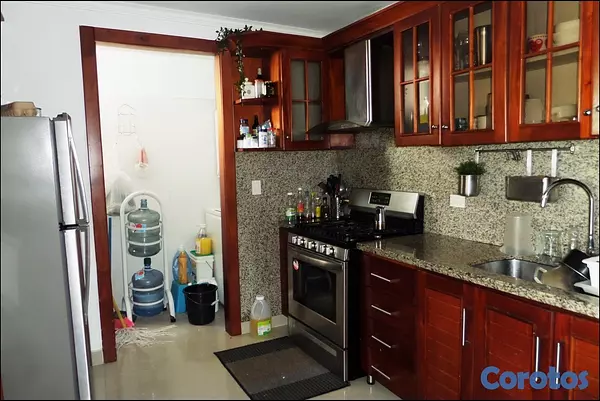 apartamentos - Apartamento Tipo PH en Gazcue 2 Niveles  3