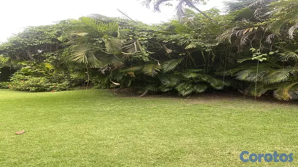 solares y terrenos - VENDO TERRENO CON 585 MT2 EN GALA, ARROYO HONDO MT2 3