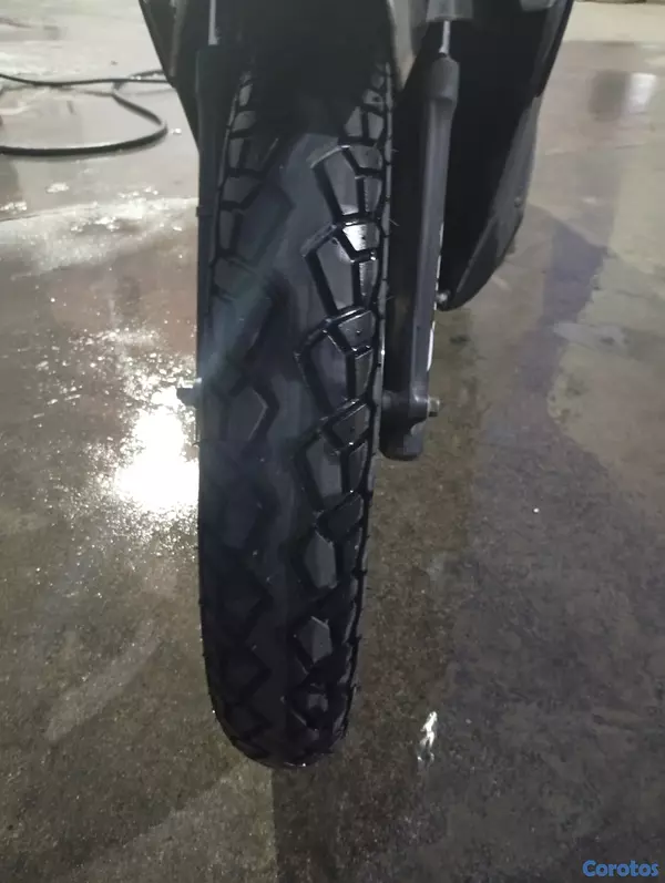 motores y pasolas - Tauro Elite 110 2
