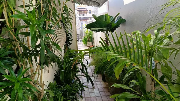 casas - Colinas de los Ríos Hermosa Casa en Venta 7