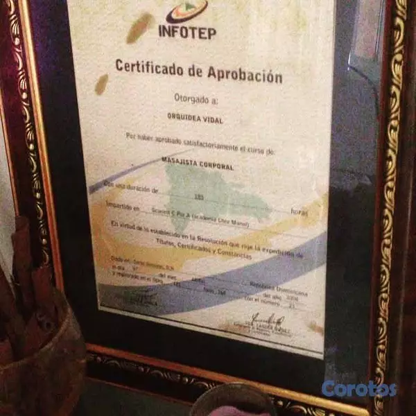 servicios profesionales - MASAJES PROFESIONALES 11