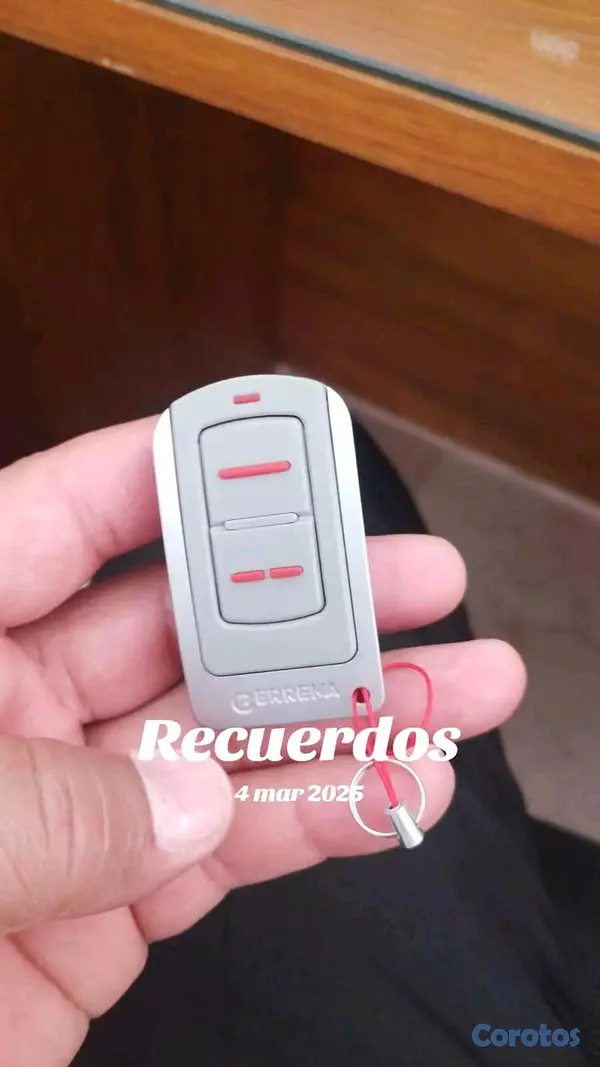 herramientas, jardines y exterior - control de puerta electrica  5
