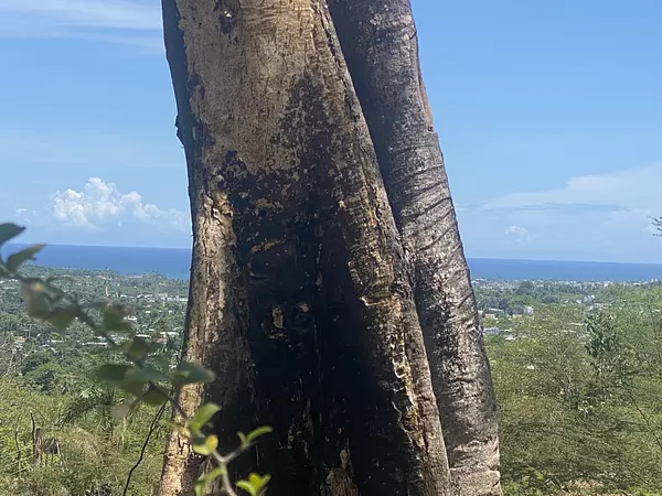 solares y terrenos - 7,591 mts con vista al mar en puerto Plata  7