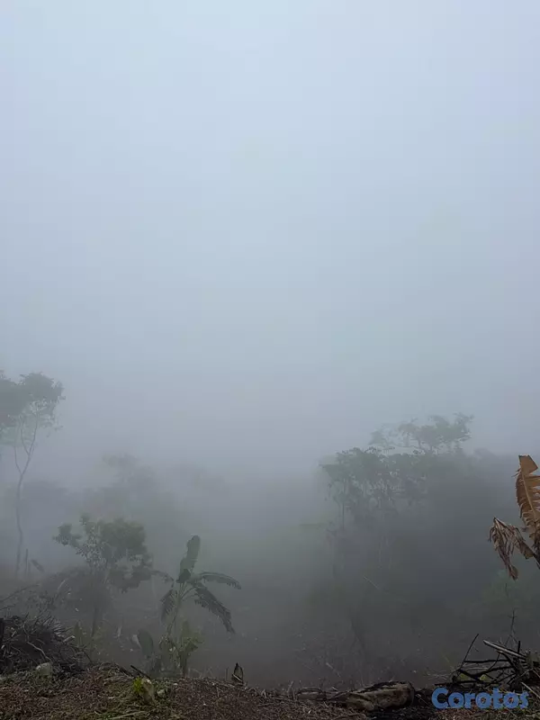 solares y terrenos - Solares en la montaña con vista a puerto plata  10