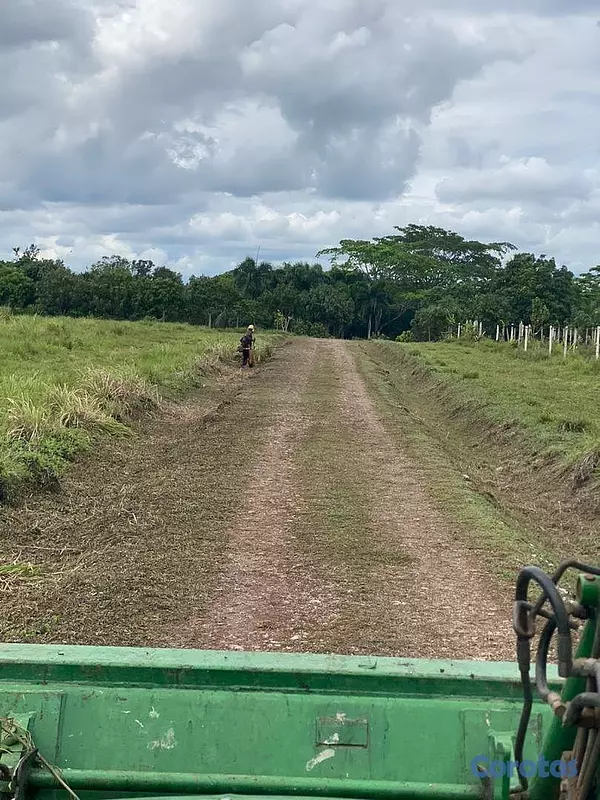 solares y terrenos - En Venta Finca Agricola y Ganadera en Carretera Bayaguana Guerra 4