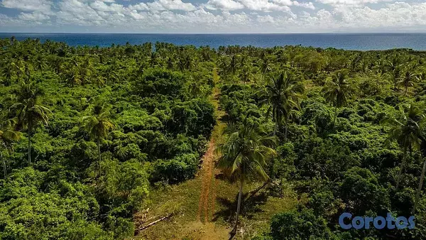 solares y terrenos - Samaná, Ermitaño - Proyecto de terrenos en Santa Bárbara de 2,8671.13 m² 6