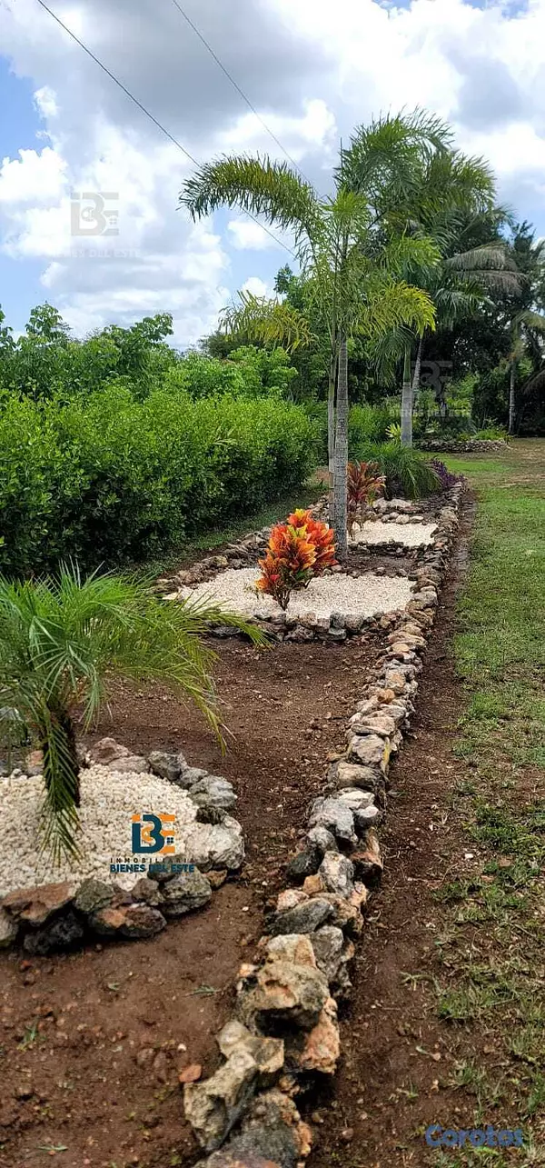 solares y terrenos - SE VENDE DE OPORTUNIDAD Excelente Finca con 3,000  5