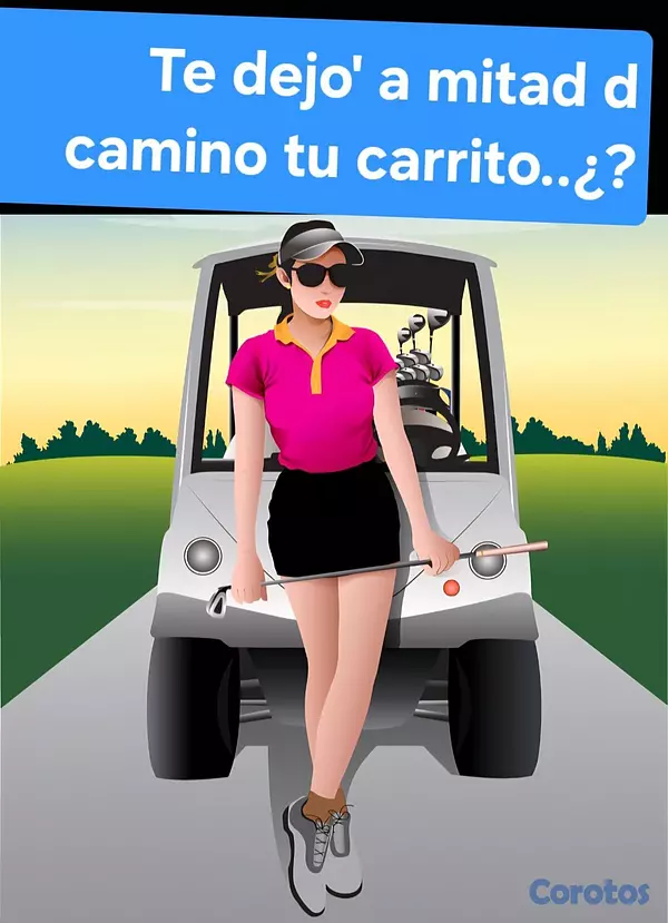 servicios profesionales - TE DEJO' A MITAD D CAMINO TU CARRITO..¿?  PUEDE DE 1