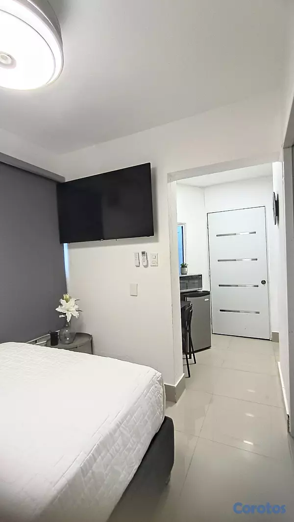apartamentos - Renta de apartaestudio amueblado, villa Olga. Stgo 12