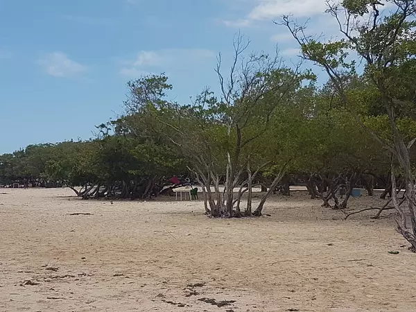 solares y terrenos - Terreno 8,000,000 mts con Muelle y Playa en Barahona 
 3
