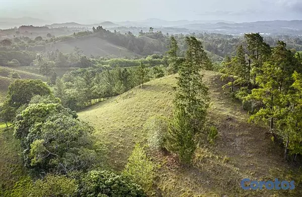 solares y terrenos - Proyecto Residencial de Solares en Piedra Blanca J 6
