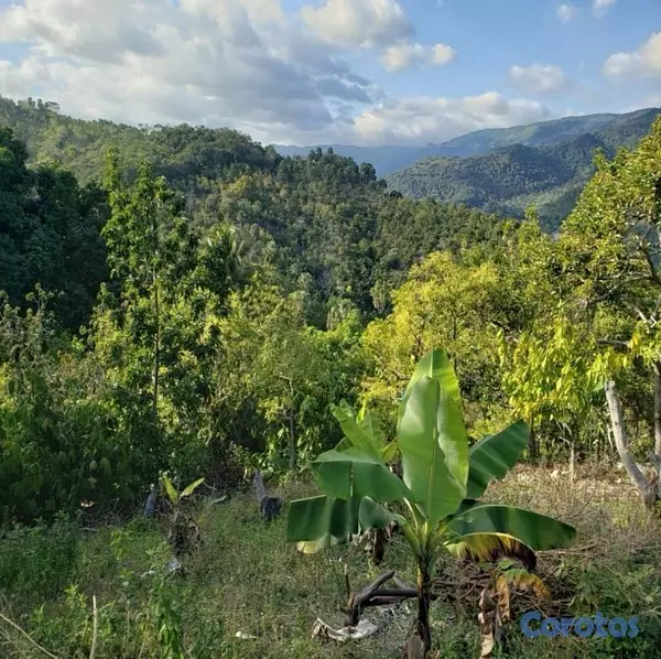 solares y terrenos - Vendo Finca de AGUACATE en Paraíso, BARAHONA, 255,600 Mts.2, VISTA AL MAR (en Pr 9