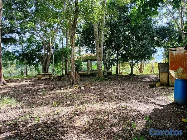 otros inmuebles - finca de 4a tareas en sabana grande de boya  7