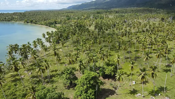 solares y terrenos -  Vendo   Terreno con 46,000.00 Mt2 en Samaná  7