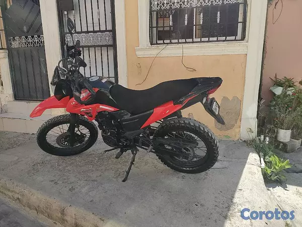 motores y pasolas - Loncin 200 6