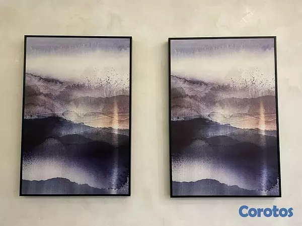 decoración y accesorios - Set de 2 cuadros decorativos medidas: 36”x24.5” 3,300 el set