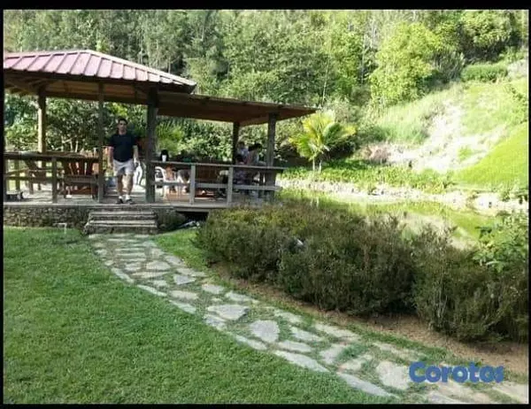 solares y terrenos - Solar en venta en Constanza ideal para cabañas 6