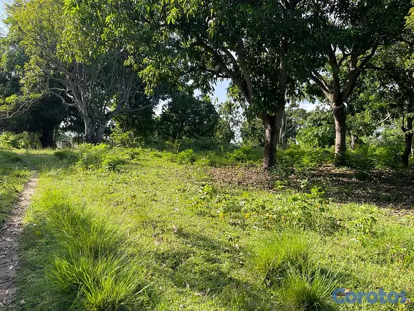casas - Oportunidad! 38,000 m² en Nigua - Ideal para Naves o Parqueo 4