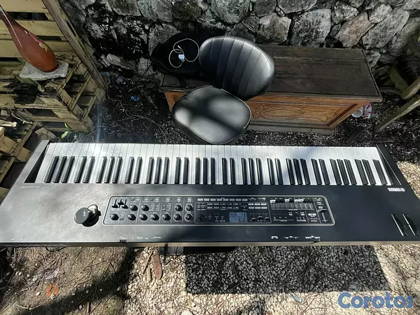 instrumentos musicales - Yamaha CK88 3