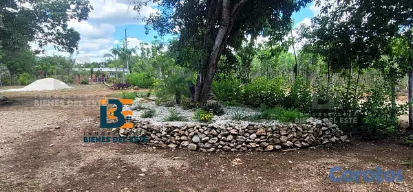 solares y terrenos - SE VENDE DE OPORTUNIDAD Excelente Finca con 3,000  4