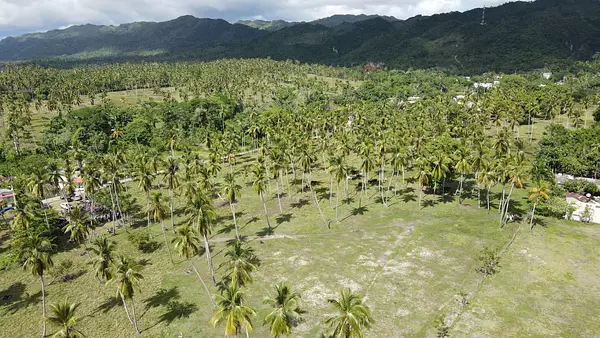 solares y terrenos -  Vendo   Terreno con 46,000.00 Mt2 en Samaná  8