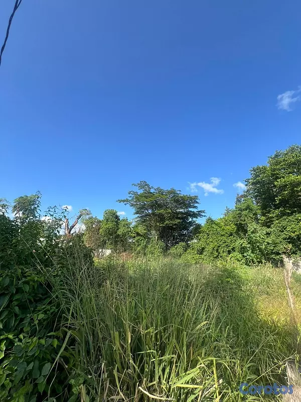 solares y terrenos - Terreno de Venta en Gurabo, Santiago 6