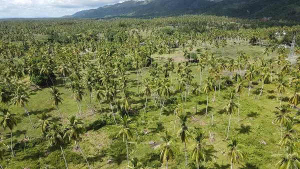 solares y terrenos -  Vendo   Terreno con 46,000.00 Mt2 en Samaná  9