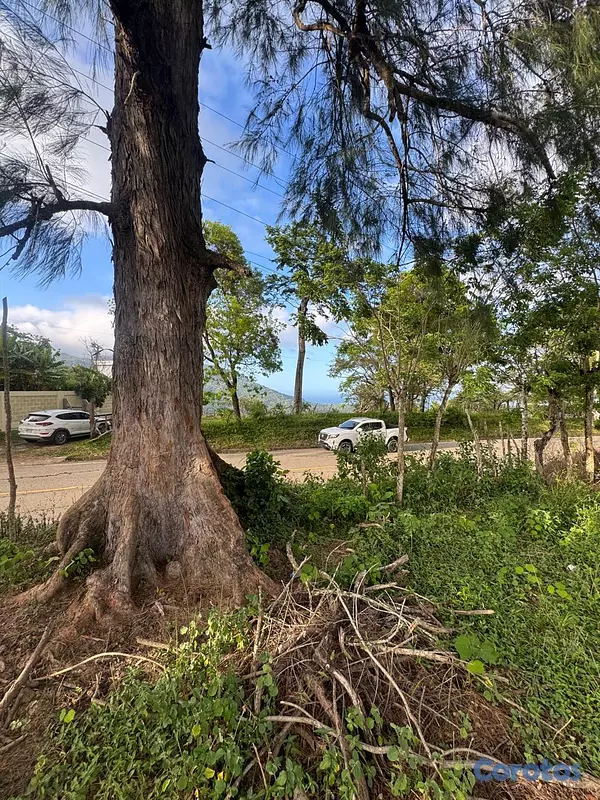 solares y terrenos - TERRENO EN VENTA EN EL CUPEY  CON VISTA A LA MONTA 2