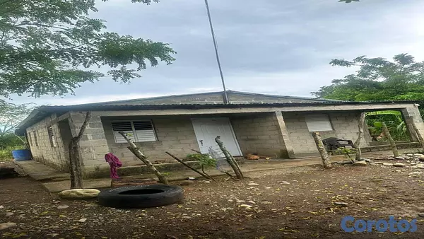 solares y terrenos - En Venta Finca Ganadera en Monte Plata el Hatillo Calle Asfaltada 9