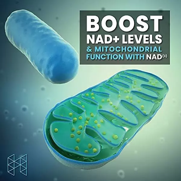 Salud y Equipamiento Médico - Hpn Nad+ Booster (nad3), Anti-aging Cell Booster, Nrf2 Acti 5
