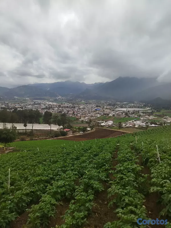 casas - vendo casa/contenedor en Constanza, con una visita espectacular! 2