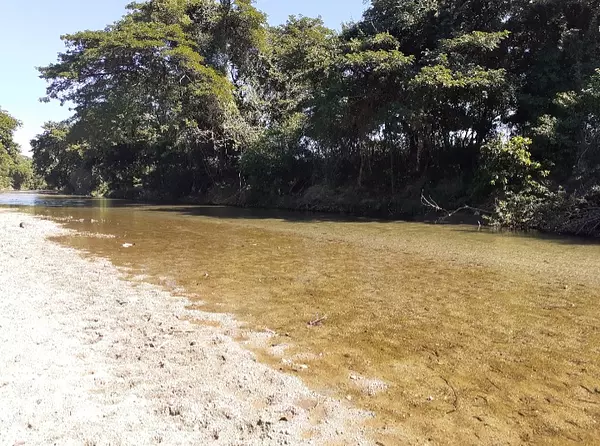 solares y terrenos - Finca 1,500 Tareas en Cabezas de Toros, Guayubin 1