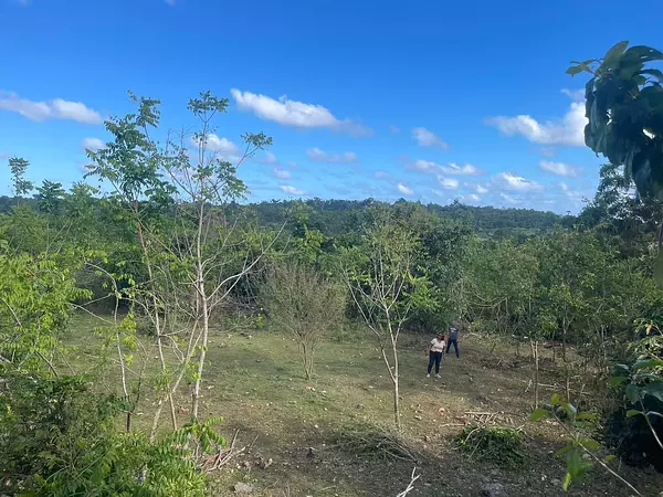 solares y terrenos - Terreno en Venta 12,161 Mts2 en Samaná  2