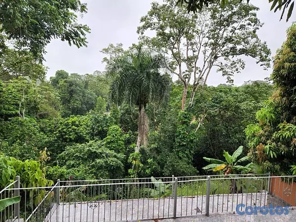 solares y terrenos - venta de finca en Villa Altagracia con cacao,aguacate y Chinola con 266,252mts 6
