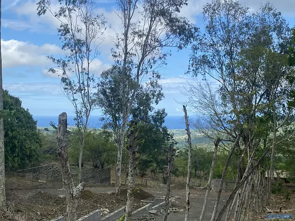 solares y terrenos - solar de 1920 en el Cupey  9