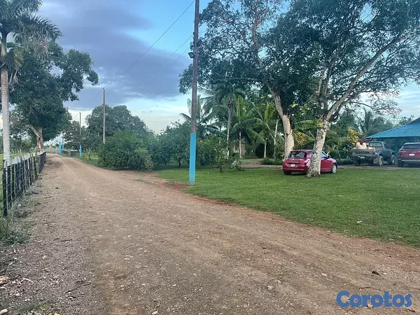 solares y terrenos - Finca Ganadera en Bayaguana de 855 tareas  3
