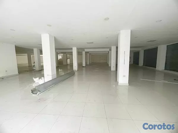 oficinas y locales comerciales - Alquiler local amplio  5