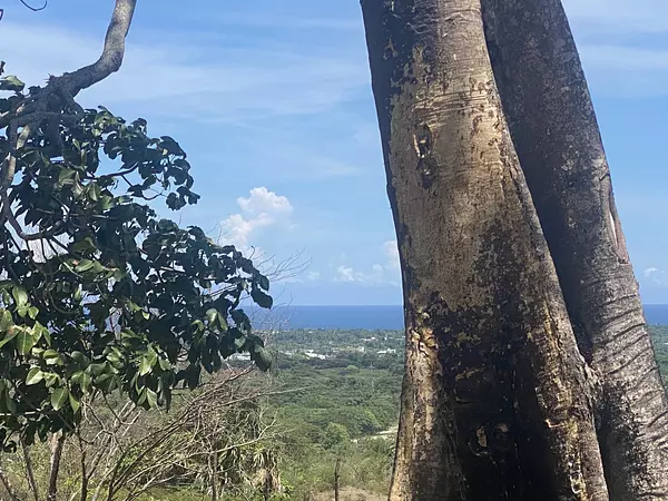 solares y terrenos - 7,591 mts con vista al mar en puerto Plata  2