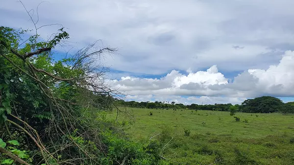 solares y terrenos - Finca en el Toro de Guerra 8