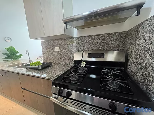 apartamentos - Apartamento en Alquiler en Ensanche Naco de UNA Ha 6