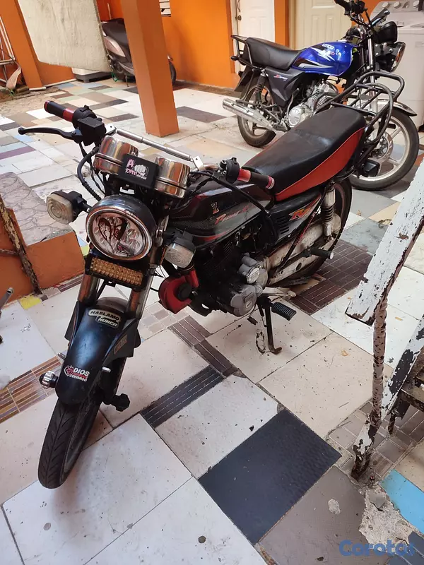 motores y pasolas - ZG200 Z3000 4