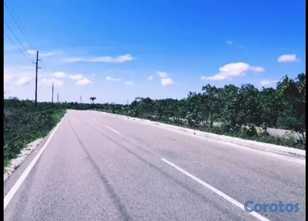 solares y terrenos - Venta de terreno Circunvalación de Bávaro.  509 mi 1