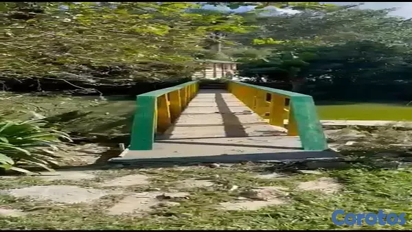 solares y terrenos - Solar en venta en Constanza ideal para cabañas 8